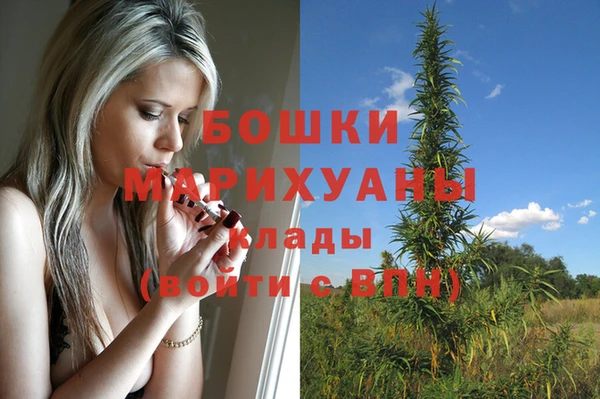 крисы Осташков