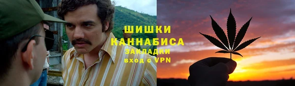 дурь Осинники