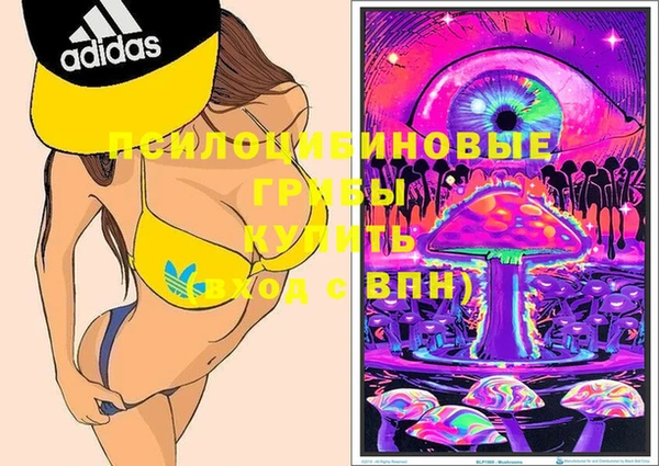 марки lsd Абаза