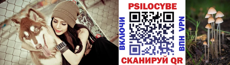 Галлюциногенные грибы Cubensis площадка какой сайт Благовещенск